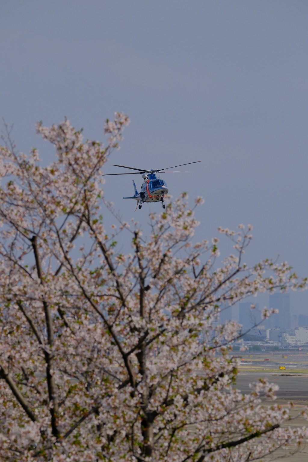 伊丹空港