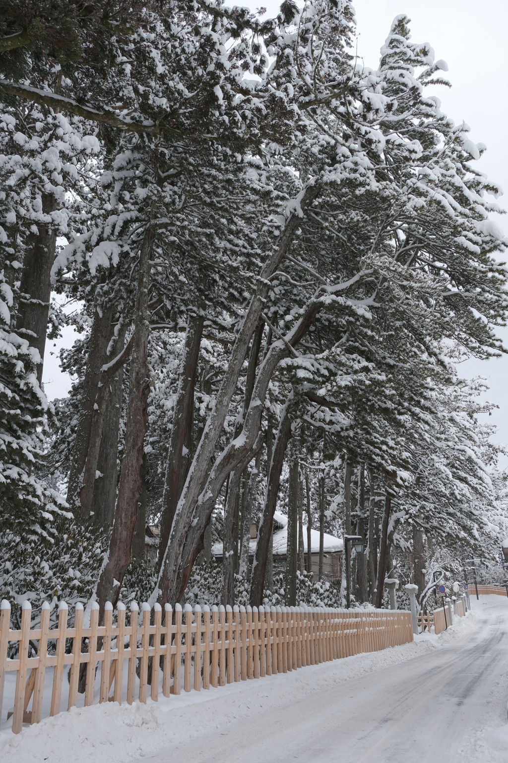 雪の高野山