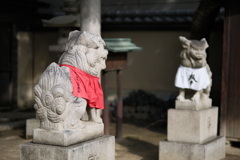 紅白