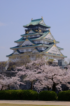 大阪城と桜