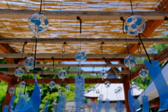 東光院あじさい風鈴祭り