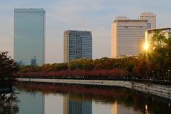 大阪城公園の紅葉