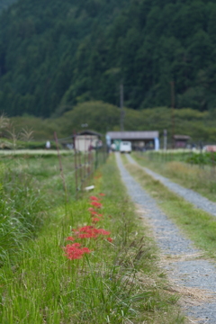 帰り道