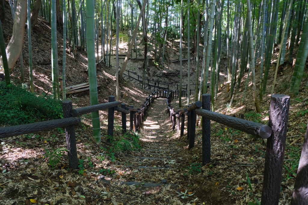 小机城
