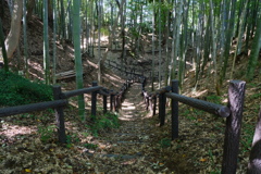 小机城