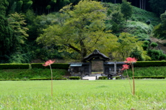 一乗谷朝倉氏遺跡