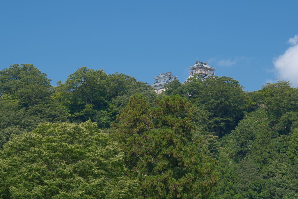 越前大野城