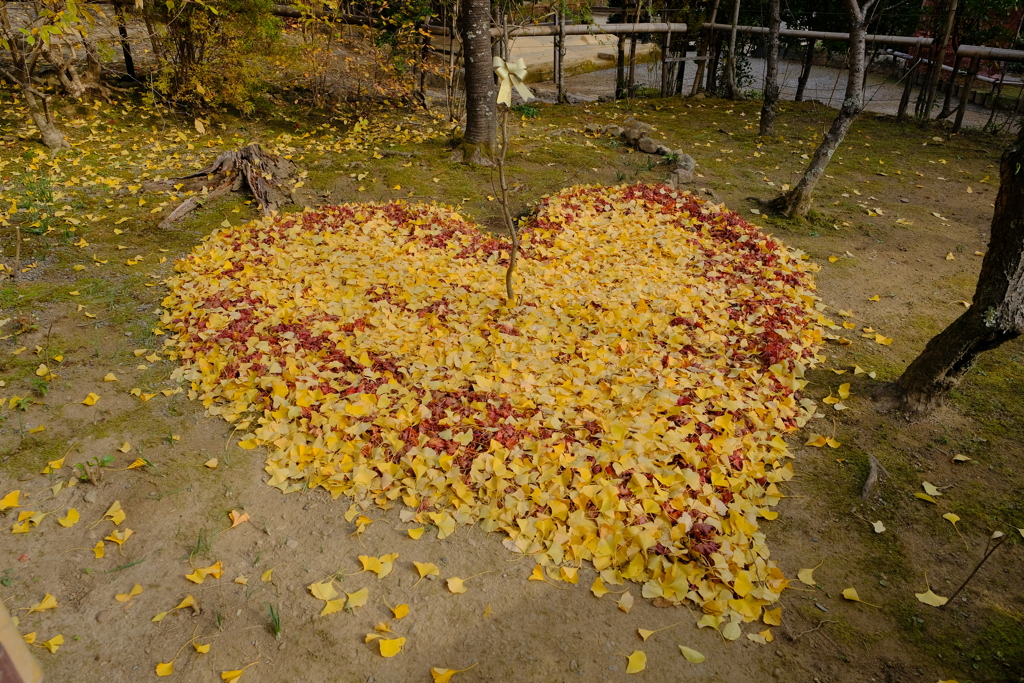 嵐山の紅葉