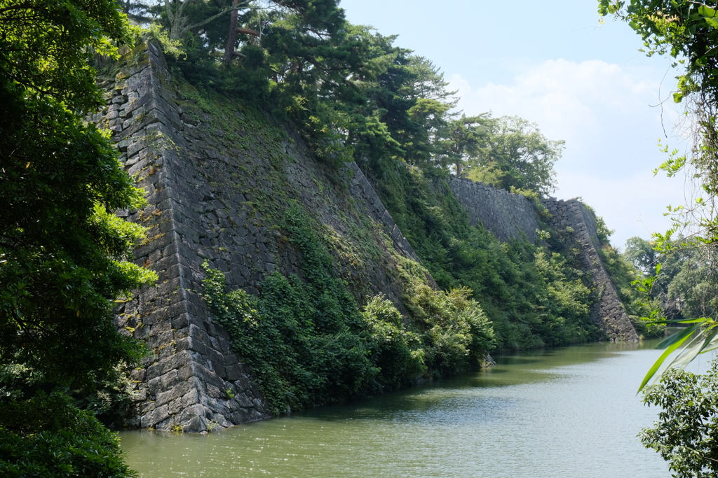 伊賀上野城 本丸高石垣西面