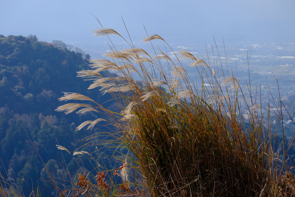 若草山山頂の秋景色