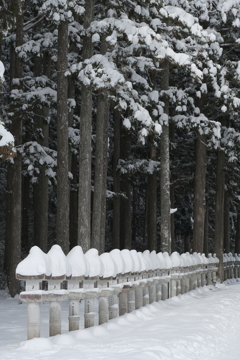 雪の高野山