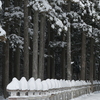 雪の高野山