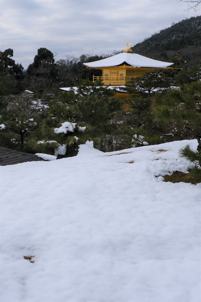 雪の金閣寺