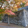 津山城の紅葉