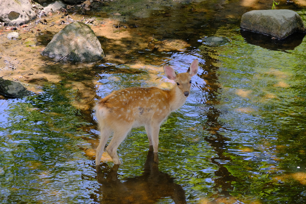 行水