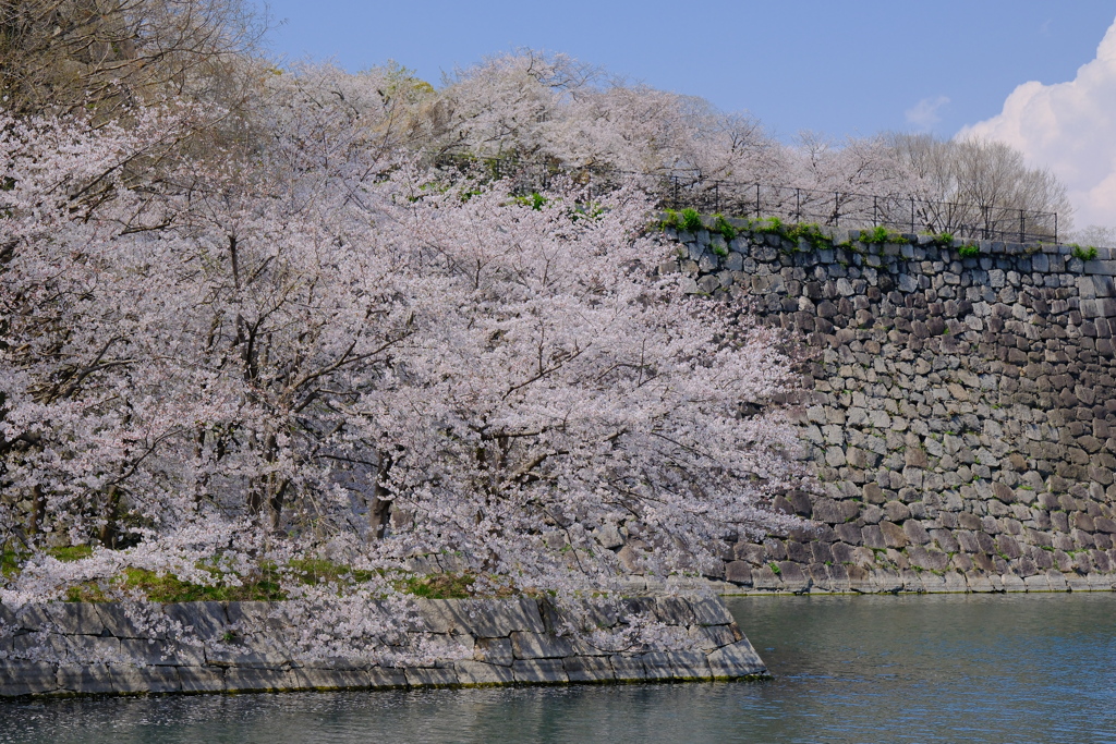 大阪城公園