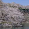 大阪城公園