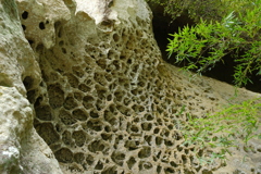 高池の虫喰岩