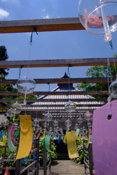 東光院あじさい風鈴祭り