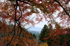 吉野の紅葉