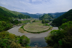あらぎ島