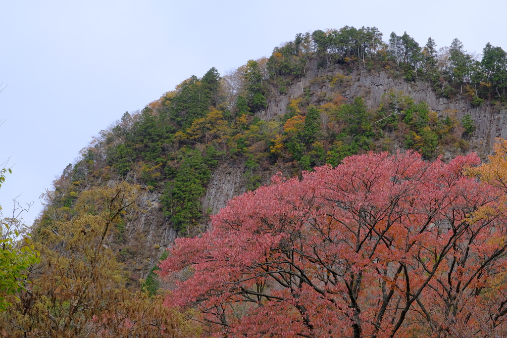 屏風岩公苑の紅葉