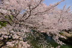 伏見十石船