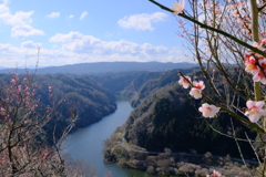 月ヶ瀬梅林
