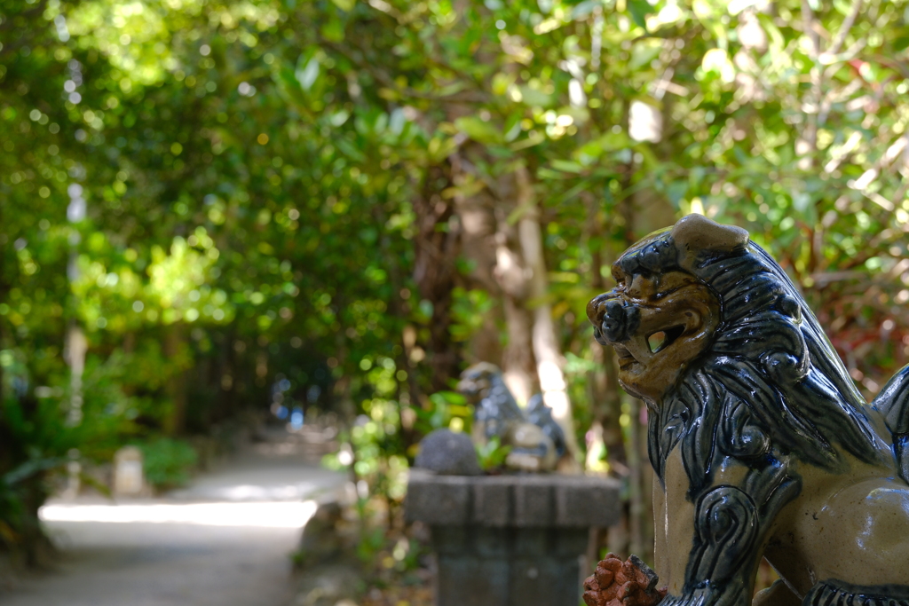 備瀬のフクギ並木