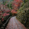 吉野の紅葉