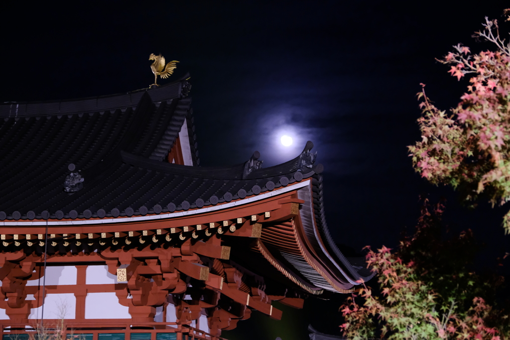 平等院鳳凰堂の夜景