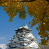 大阪城は黄色が似合うか