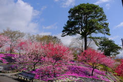 恵那峡の里