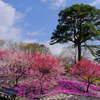 恵那峡の里