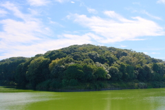 ニサンザイ古墳