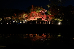 紅葉夜景