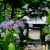 丹州観音寺