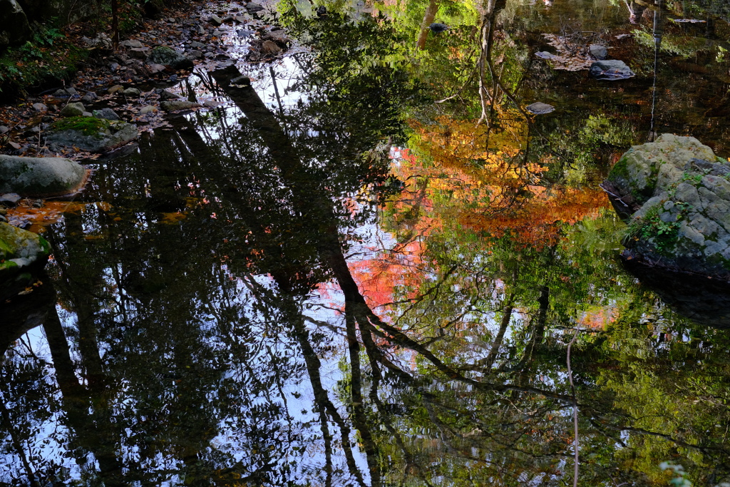 箕面公園の紅葉
