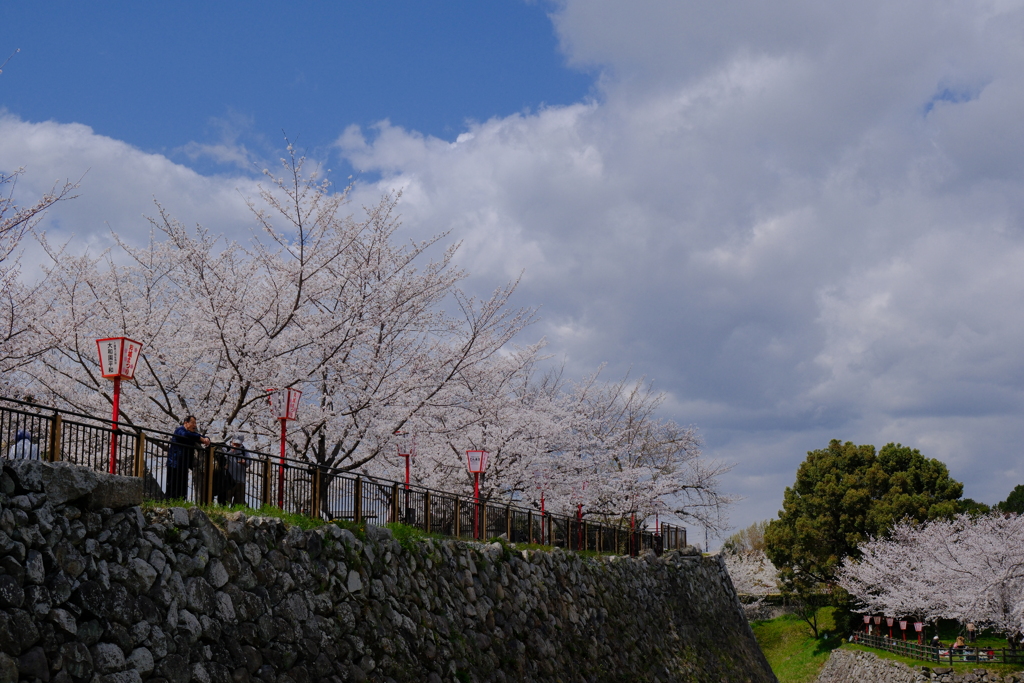 大和郡山城跡