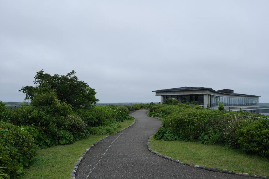 屋上庭園