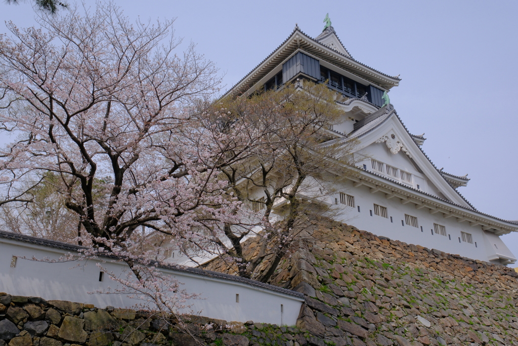 小倉城