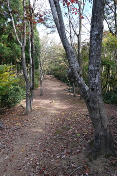 玄蕃尾城登城道