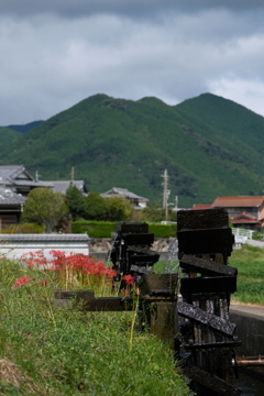 新野の水車