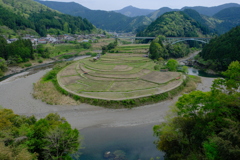 あらぎ島