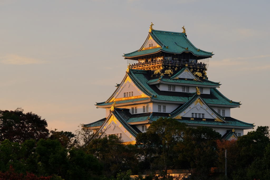 紅葉の大阪城