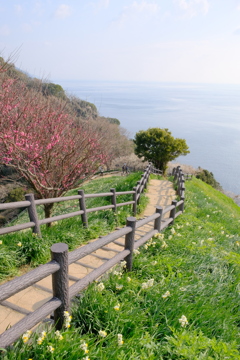 昔の黒岩水仙郷