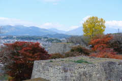 津山城の紅葉