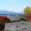 津山城の紅葉