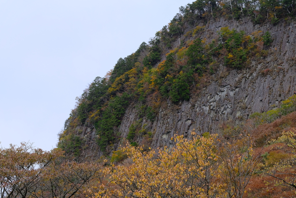 屏風岩公苑の紅葉