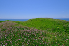 志苔館跡
